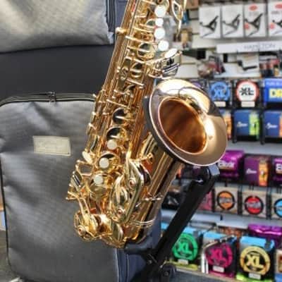 Selmer La Voix Alto Sax w/Original Case & 2 Mthpcs; Dukoff & Otto Link image 14