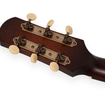 Iris Guitar Company DF 2023 - Sunburst, Adirondack Top, Ivoroid Binding. NEW (Authorized Dealer) image 16