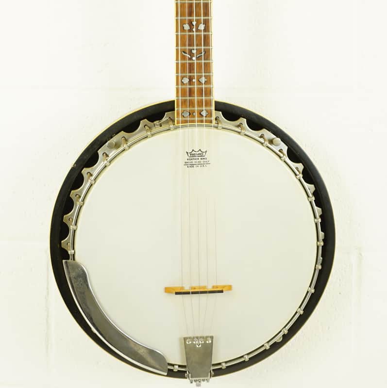 Epiphone 5-String Banjo