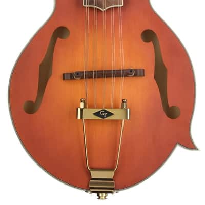 Gold Tone F-10 10-string F-Style Acoustic-electric Mandolin image 2