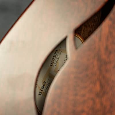 Taylor T5 Classic image 10