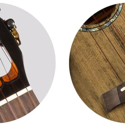 Flight Peter Moss Signature Tenor Ukulele image 6