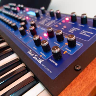 Dave Smith Instruments Mono Evolver Keyboard PE - Potentiometer Edition image 10
