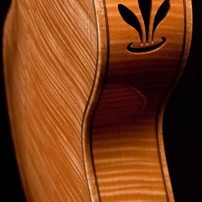 Buscarino Custom Artisan (2010) image 12