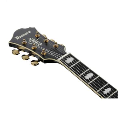 Ibanez PM3C BKL Pat Metheny image 6