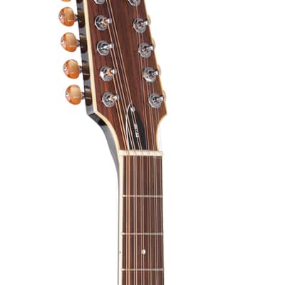 ESP LTD TL-12 Thinline 12-String Acoustic Electric Guitar Black image 4