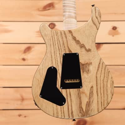 Paul Reed Smith Special 22 Semi-Hollow Wood Library - Trampas Green Fade-24 0388177 image 7