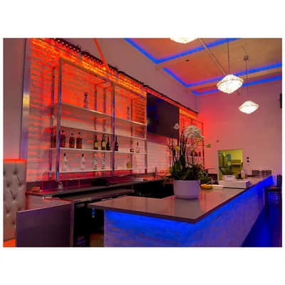 (6) American DJ ADJ UBL12H IP20 LED RGBAL DMX Wash Strip Light Bars+Haze Machine image 2