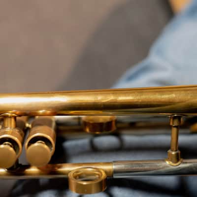 Van Laar OIRAM II 2013 - Raw Brass image 11