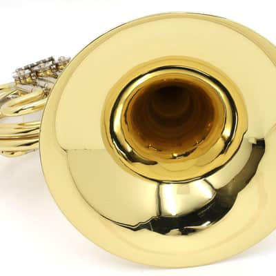 YAMAHA F Single French Horn YHR-314II [008919] (09/04) image 4