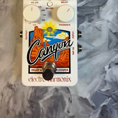 Electro-Harmonix Canyon 2017 - Present White image 1
