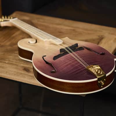 Ortega RMF200PF Americana Series F-Style Solid Flamed Maple Top Maple Neck 8-String Mandolin w/Croco Leather Case image 14