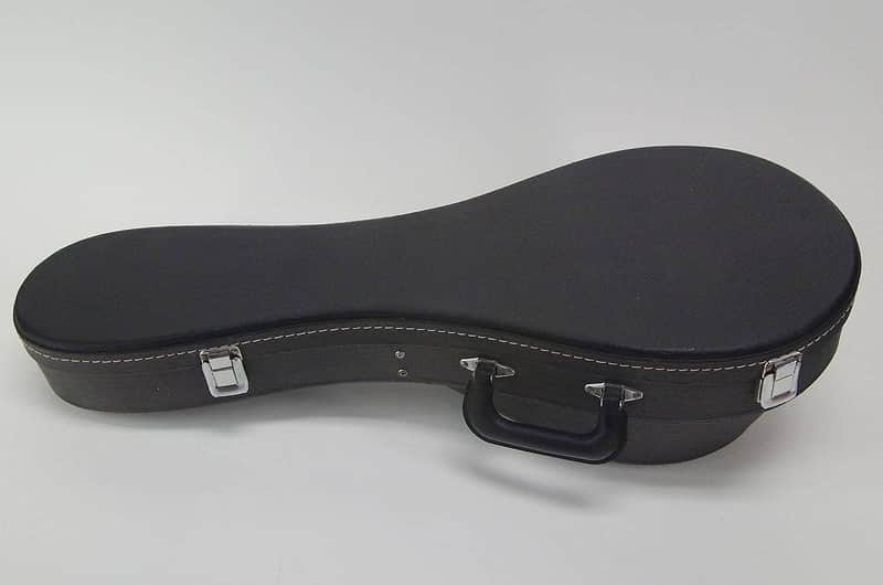 Neapolitan / Bowlback Mandolin Hardshell Case image 1