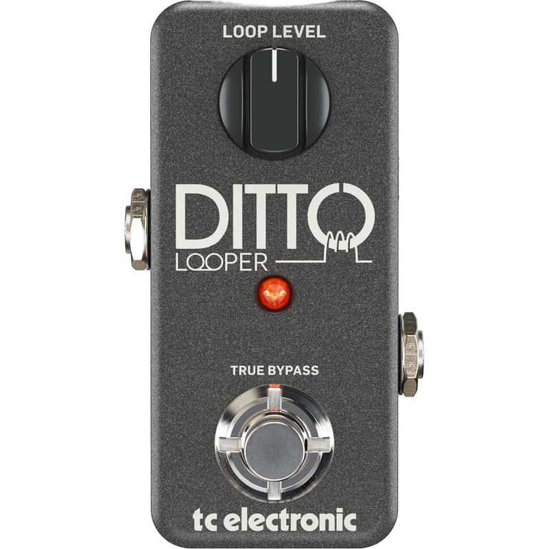 tc electronic DITTO LOOPER 中古品 TC Electronic Ditto Looper | Reverb
