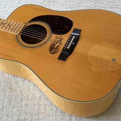 1977 Ibanez Concord 671 Acoustic Electric Dreadnought Herringbone Binding Guitar MIJ Japan image 8