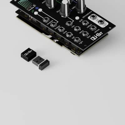 Qu-Bit Electronix Aurora image 3