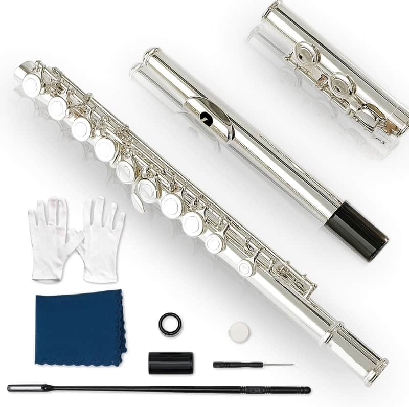 16keys Flute, C Foot Beginner Flauta with Closed Hole, Offset G, Split E - Flute Instrument for Beginners image 1