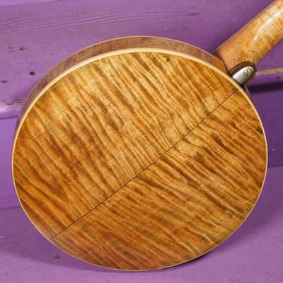 1925 Weymann Style 150 Resonator 5-String Banjo (VIDEO! Fresh Work, Ready) image 10