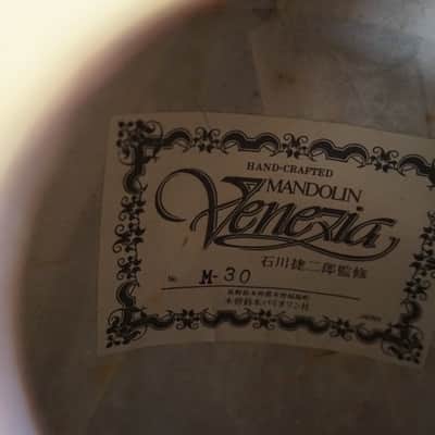 Venezia M-30 Hand Crafted Mandolin image 11