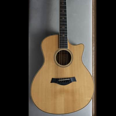 Taylor GSce-FLTD Fall Limited Edition 2012 image 1