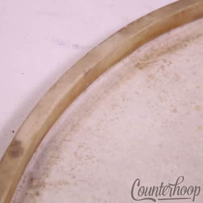 Leedy Hard-Calf Floor Tom 16"Calf Skin Drum Head Batter/Resonant Vintage 40s USA image 4