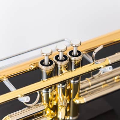 Yamaha YTR-8335IIRG Xeno Bb Trumpet with Reverse Leadpipe and Gold Brass Bell (SN 5768xx) image 4