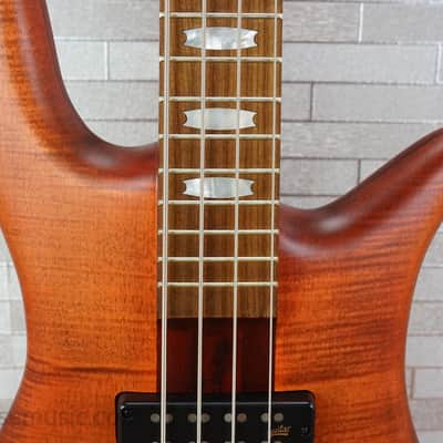 Spector Euro 4 RST - Sienna Stain image 4