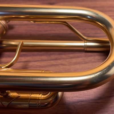 Adams A1 Gen 1 Brushed Lacquer image 4