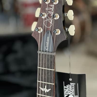 PRS Custom 24 10-Top Purple Mist 2024 image 5