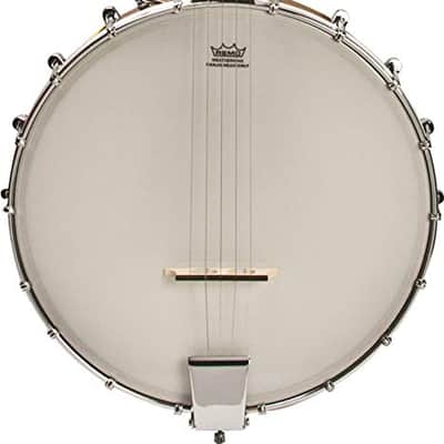 Washburn B7 5-string Open Back Banjo image 1