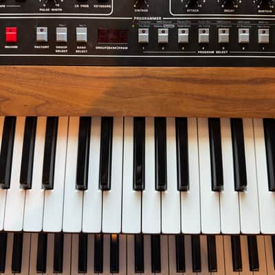 Sequential Prophet-10 61-Key 10-Voice Polyphonic Synthesizer 2020 - Present - Black with Wood Sides Bild 4