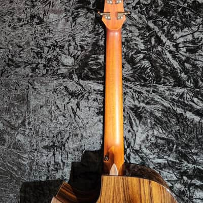 Hozen Guitars Black Label Fan-Fret Modified Dreadnought Spruce, Indian Rosewood w/Anthem image 7