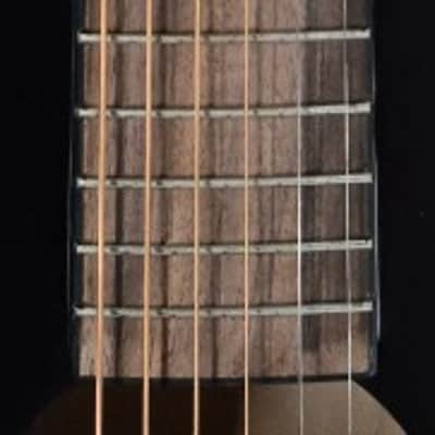 Recording King RPS-JTE-T Justin Townes Earle Single O Acoustic Guitar - B-Stock image 2
