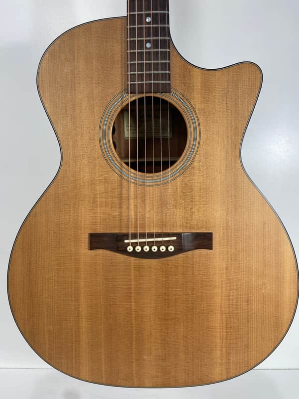 Eastman AC122 CE 2000's - Natural image 1