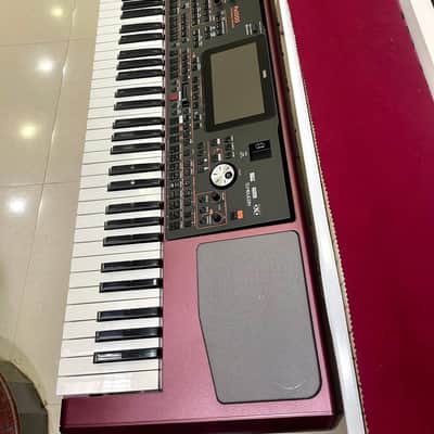 Korg PA1000 61-Key Professional Arranger 2017 - Present - Red