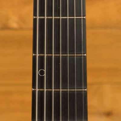 Schecter Aaron Marshall AM-7 - Macassar Ebony - Cobalt Slate - 7-String image 6