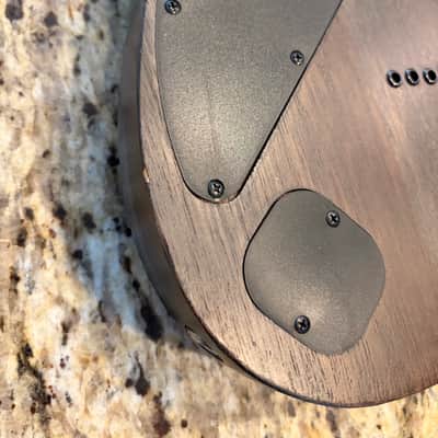 Ibanez RGD71ALPA-CKF Axion Label 2022 - Charcoal Burst Black Stained Flat - BARE KNUCKLE AFTERMATHS image 10
