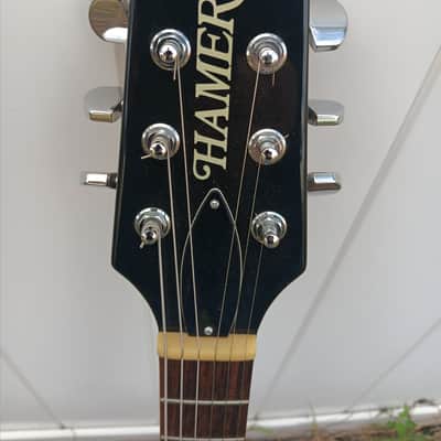 Hamer Special zebra humbucker lp dc electric guitar image 7