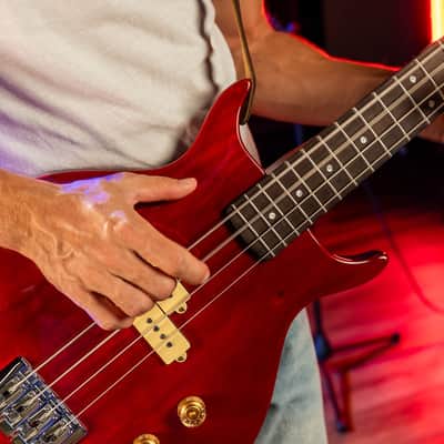 Washburn SB4R Wing Series Scavenger Ashwood Body 4-String Electric Bass Guitar image 18