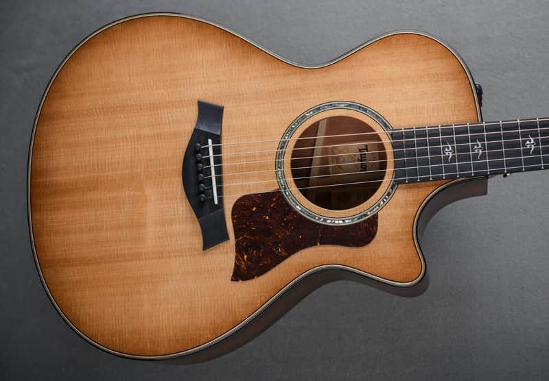 Taylor 512CE - Urban Ironbark image 1