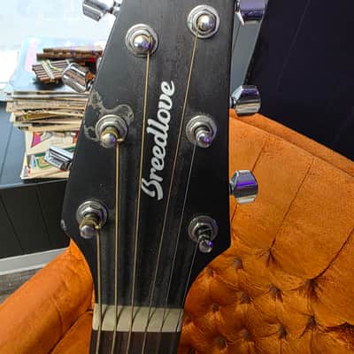 Breedlove Discovery S Concerto CE 2021 - Present - Edgeburst image 13