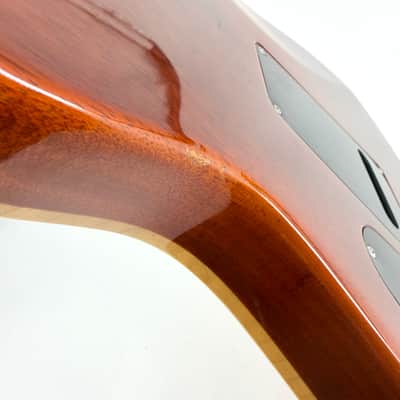 2009 PRS DGT David Grissom 10-Top – McCarty Sunburst image 18