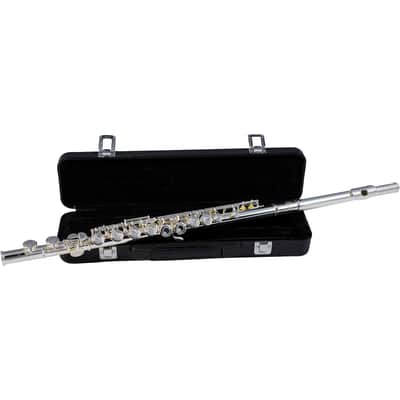 Etude EFL-200 Student Series Flute with Offset G, C-Foot image 1