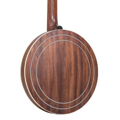 Gold Tone Bela Fleck Signature Banjo Mastertone Bluegrass Heart w/ Case image 9