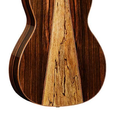 Java TWJPE CN Tanglewood image 3