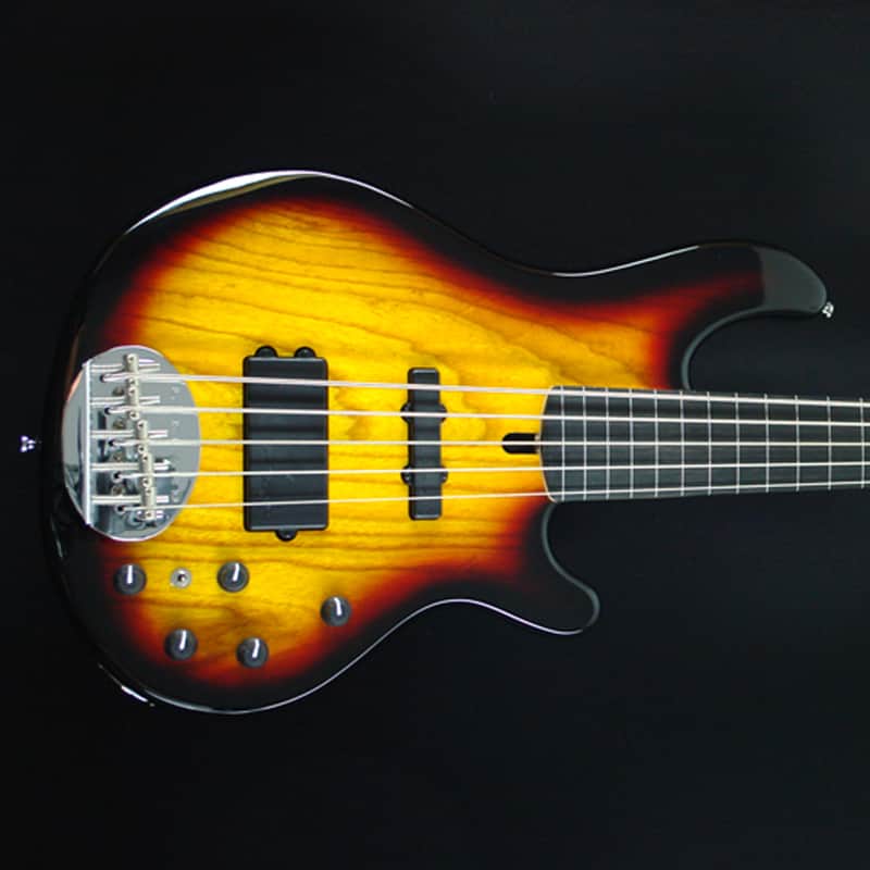 Lakland Skyline 55-02 Standard Fretless image 2