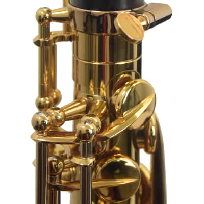 Eastman EAS850 Rue Saint-Georges Alto Saxophone - Lacquer image 8