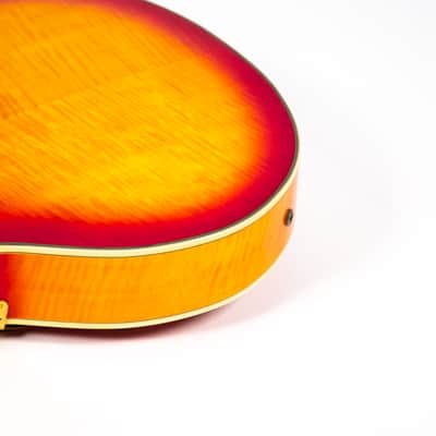 Epiphone Joe Pass Owned by Mike Campbell image 22