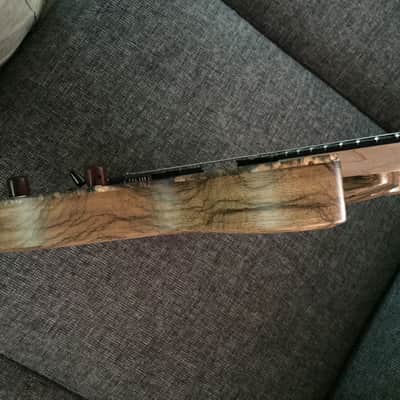 Kiesel Carvin Aries AM7 Multiscale New! 2016 Buckeye Burl image 9