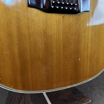 Segovia Sessions Series 12-String 1970's W/HSC image 9